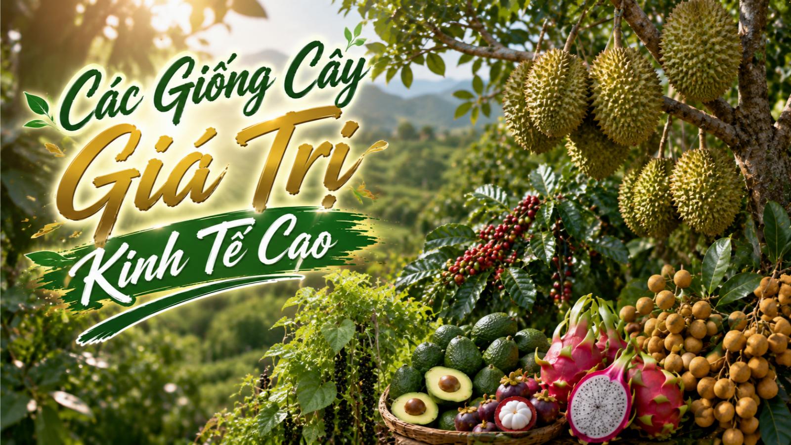 Các giống cây giá trị kinh tế cao