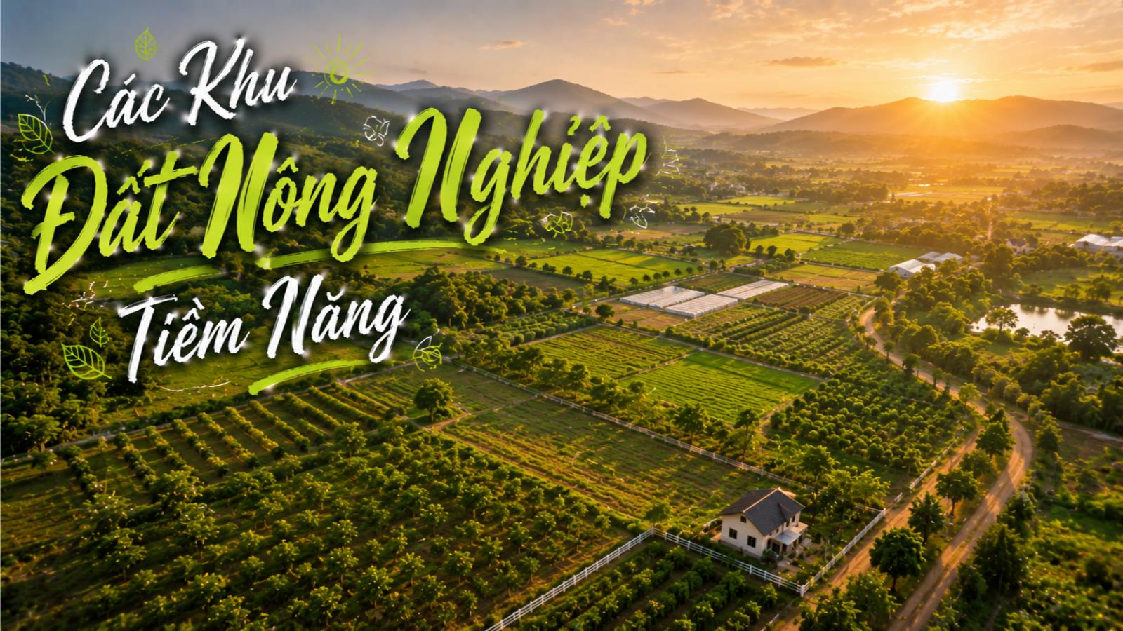 Các khu đất nông nghiệp tiềm năng