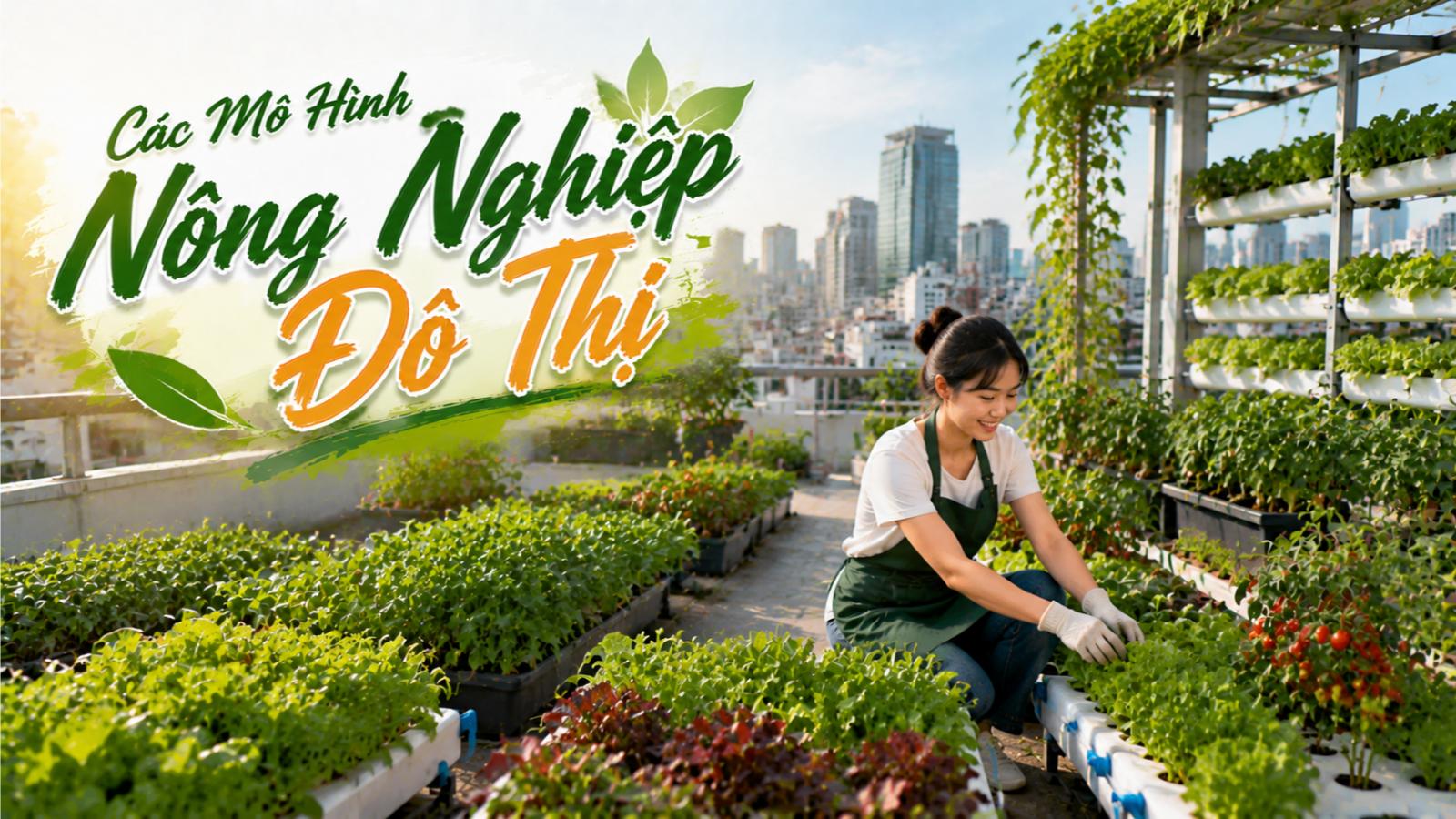 Các mô hình nông nghiệp đô thị