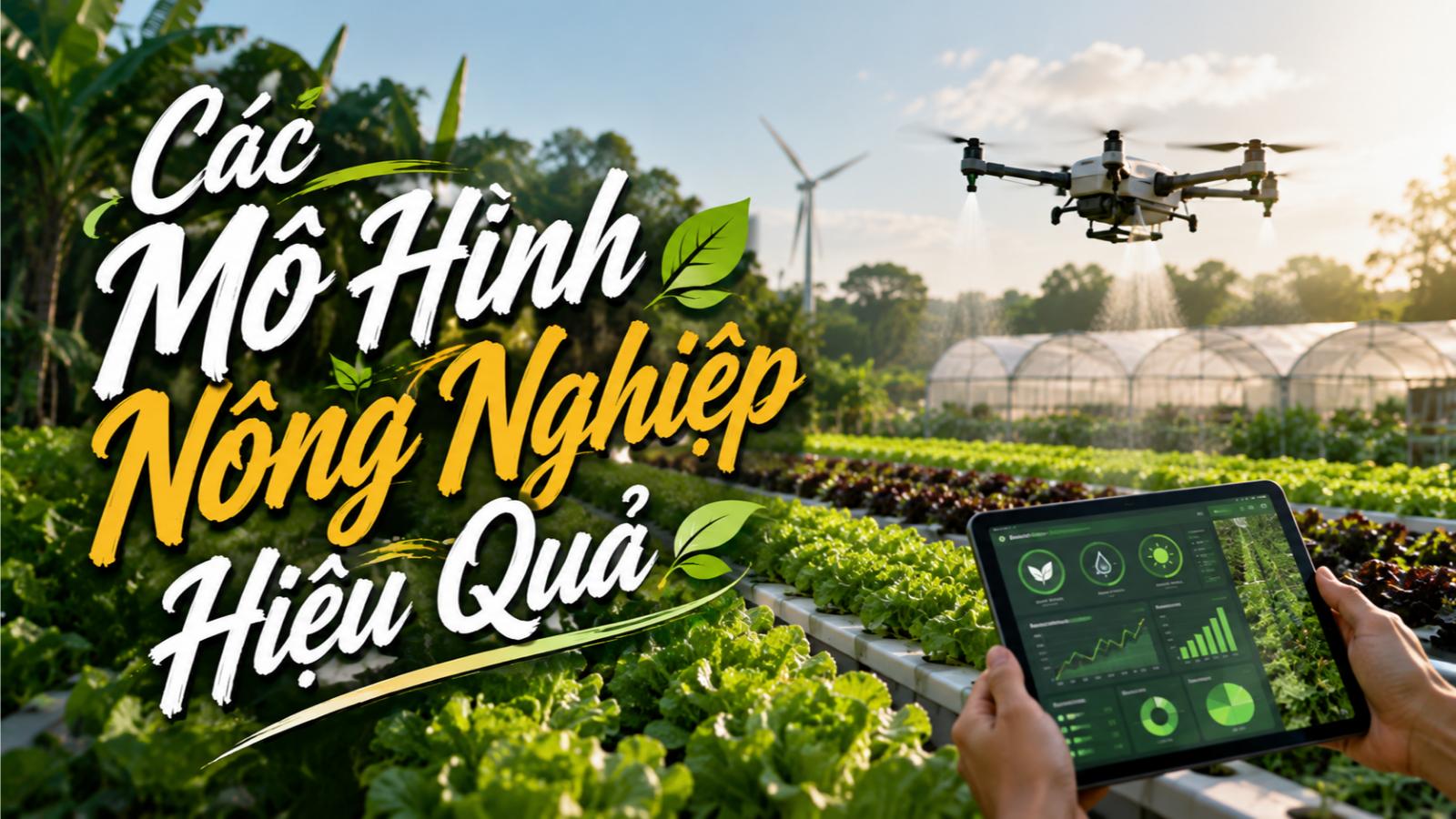 Các mô hình nông nghiệp hiệu quả