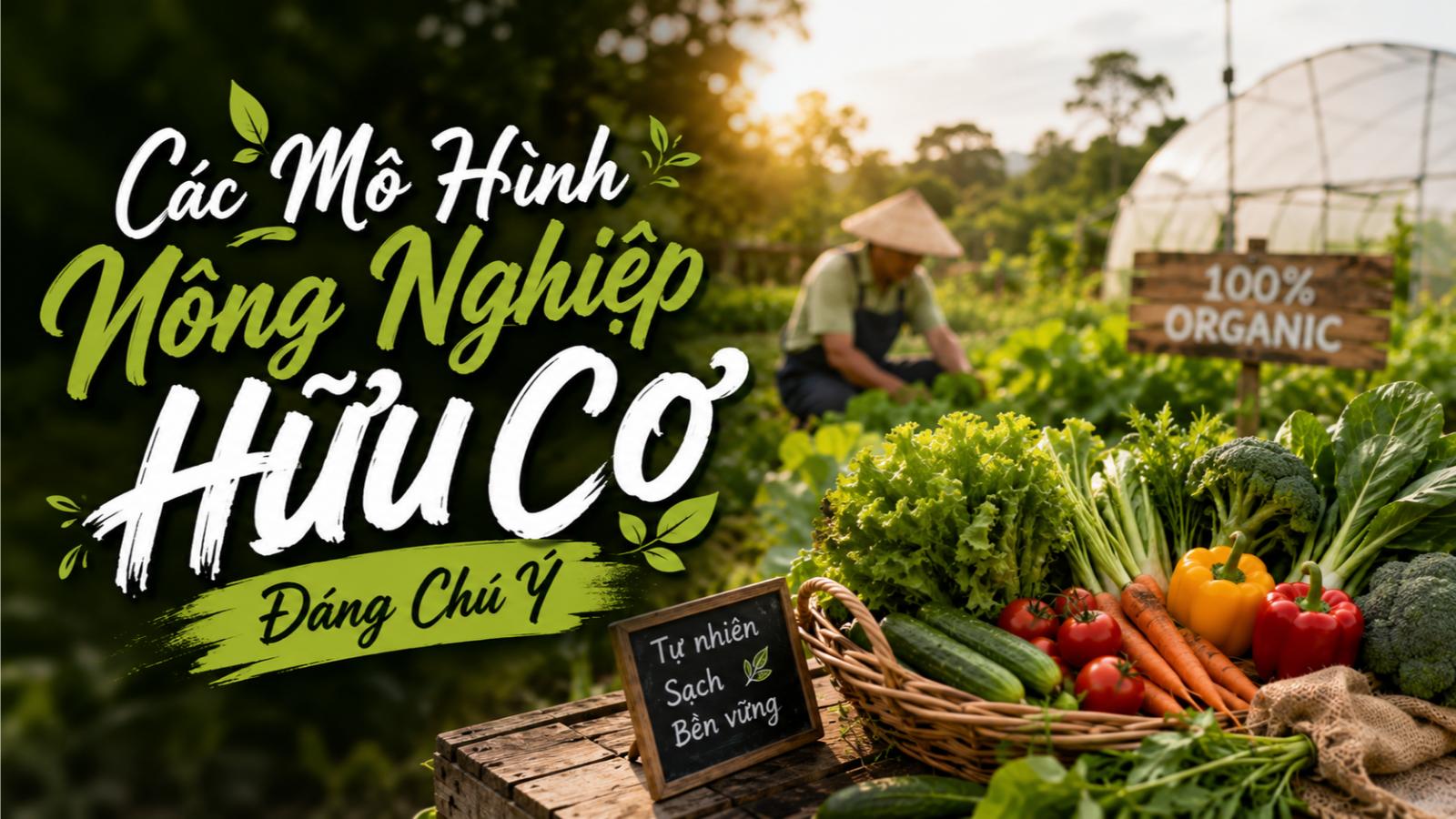 Các mô hình nông nghiệp hữu cơ đáng chú ý