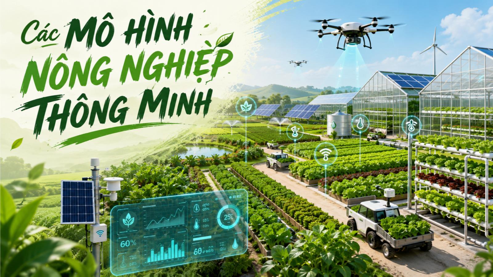 Các mô hình nông nghiệp thông minh
