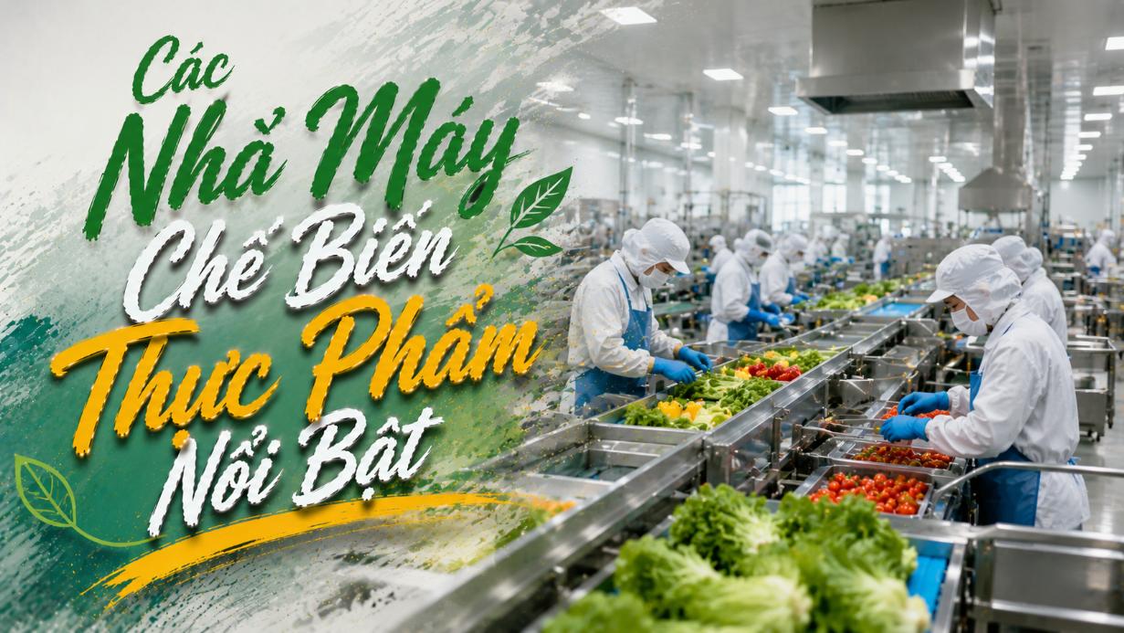 Các nhà máy chế biến thực phẩm nổi bật