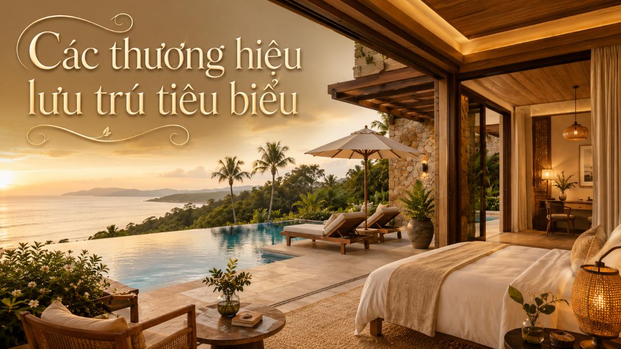 Các thương hiệu lưu trú tiêu biểu