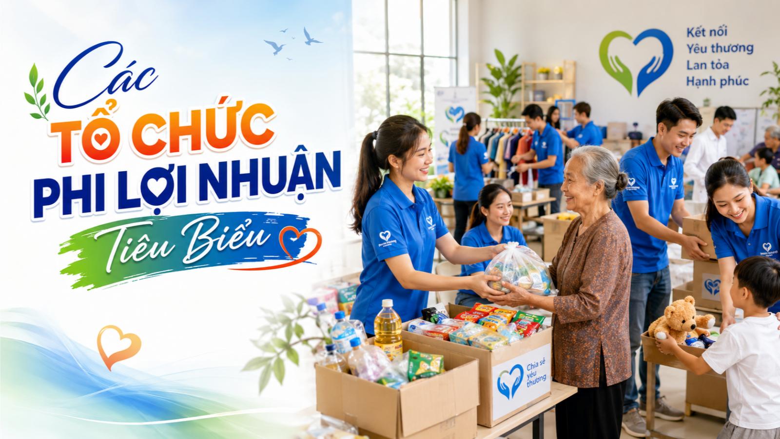 Các tổ chức phi lợi nhuận tiêu biểu